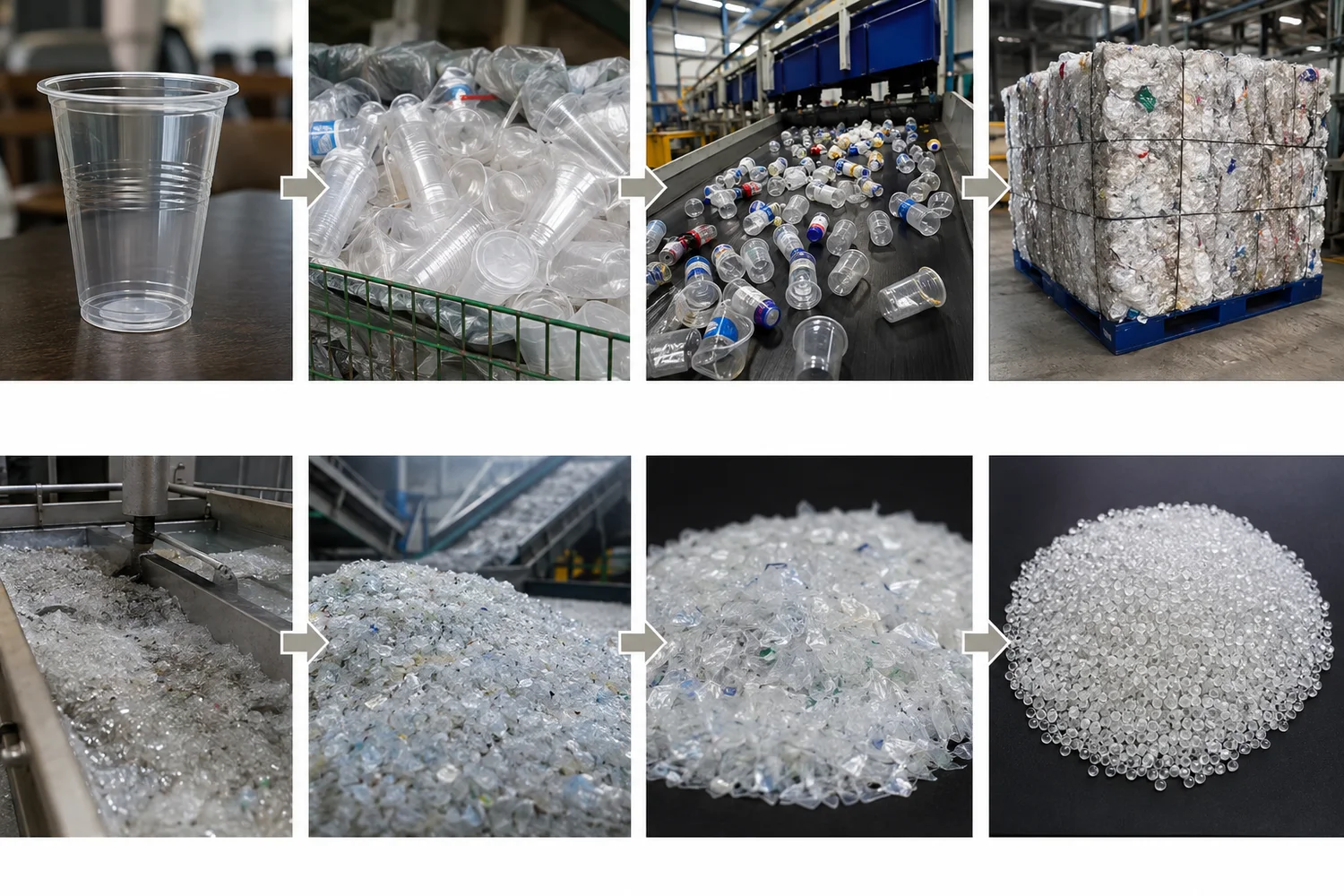 PET thermoform cup recycling pathway from used cup through collection, MRF sorting, PET bale and reclaimer processing