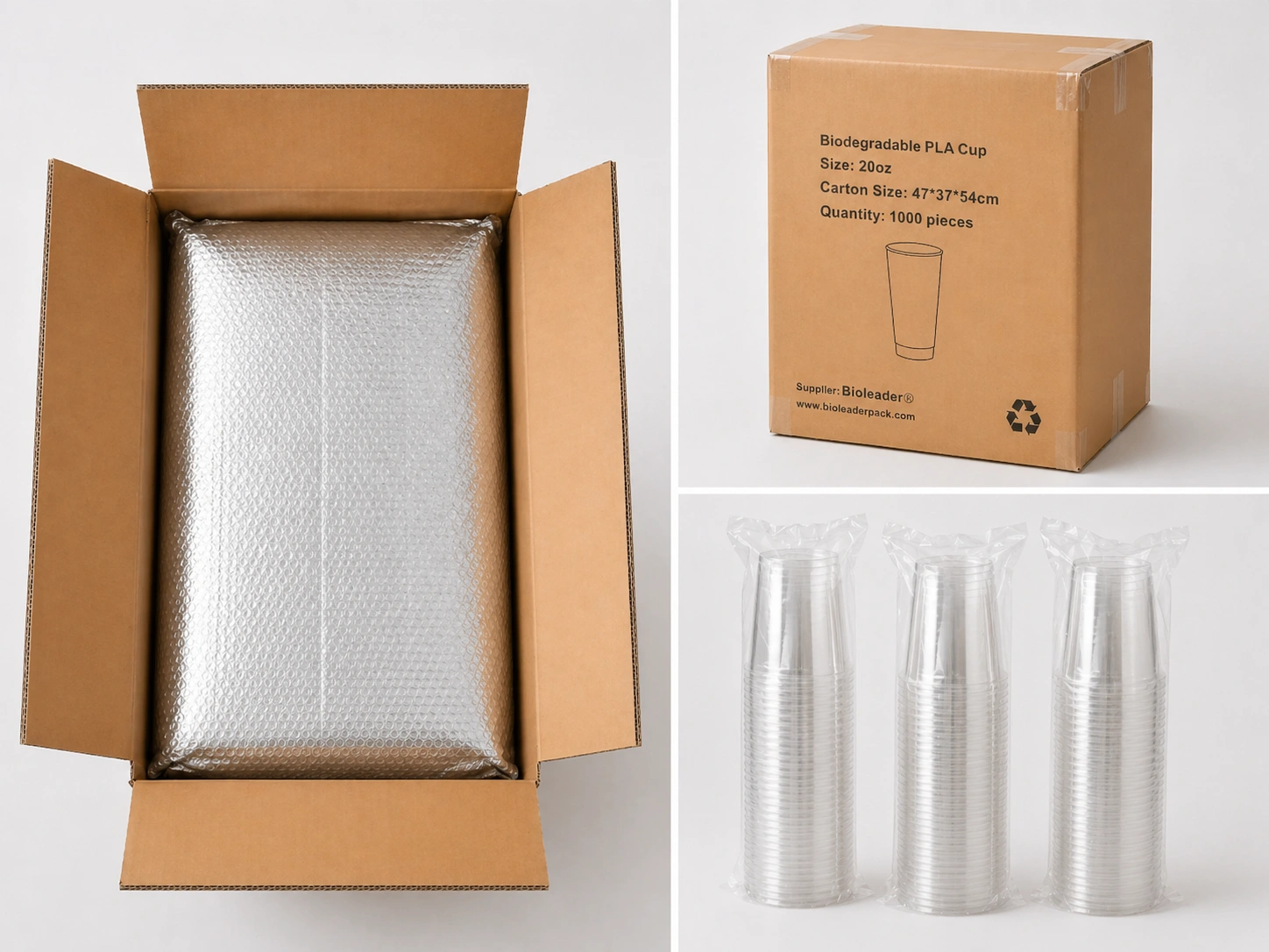 20oz PLA Compostable Cups Products Packaging Display